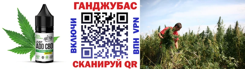 блэк спрут ONION  цены наркотик  Новый Оскол  Cannafood марихуана 