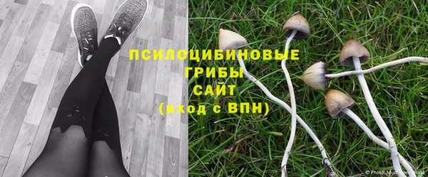 крисы Ахтубинск