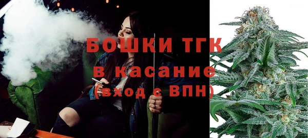 шишки Аша