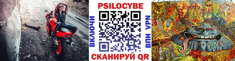 Псилоцибиновые грибы Psilocybine cubensis  hydra как зайти  Новый Оскол  купить  сайты 